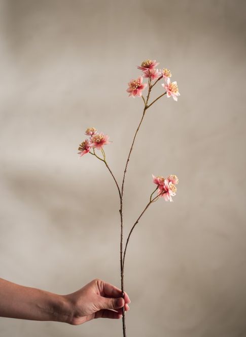 Hovedbilde Mr Plant stjernefloke 72 cm