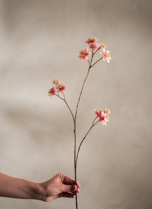 Mr Plant stjernefloke 72 cm